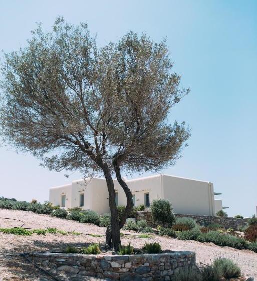 بنسيون Schinoza Luxury Suites