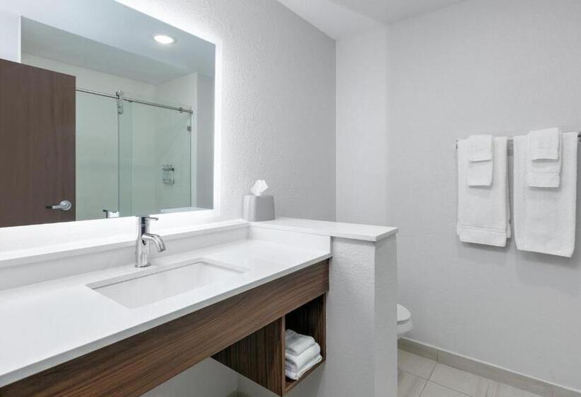 Отель Holiday Inn Express San Antonio East I 10 , An Ihg