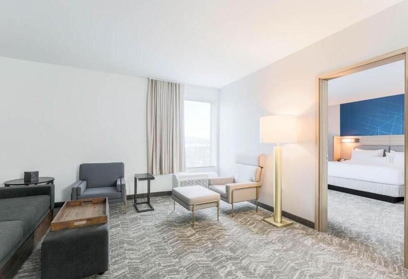 בית מלון כפרי Springhill Suites By Marriott San Jose Fremont