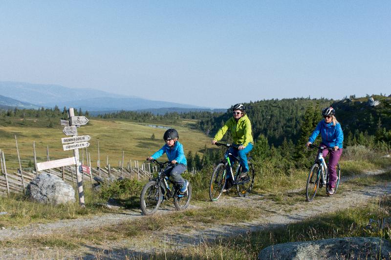 Skeikampen Booking