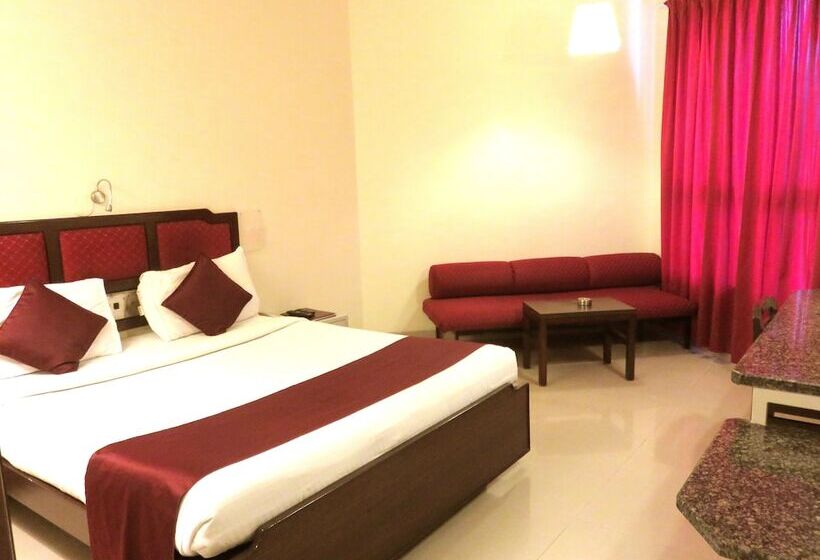 Отель Ashish Plaza