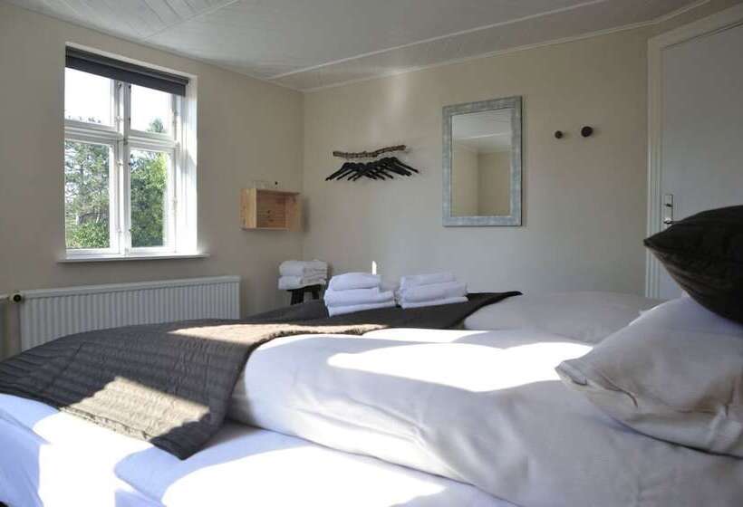 민박 Stevns Klint Strandpension