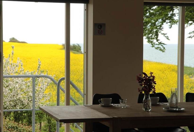 민박 Stevns Klint Strandpension