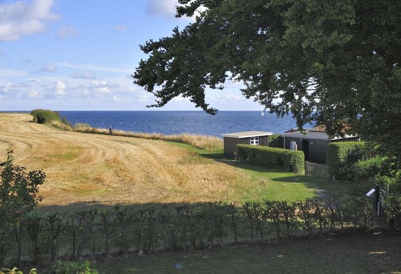 민박 Stevns Klint Strandpension