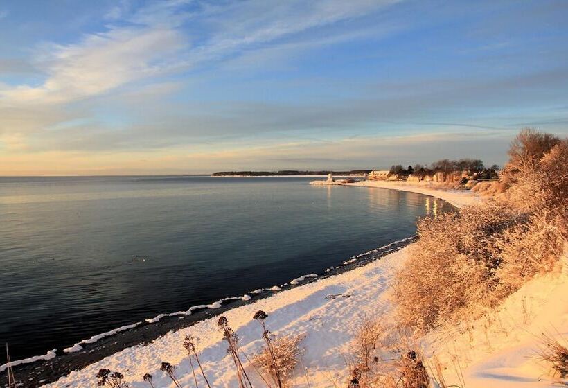 민박 Stevns Klint Strandpension