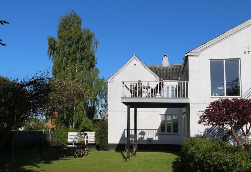 민박 Stevns Klint Strandpension