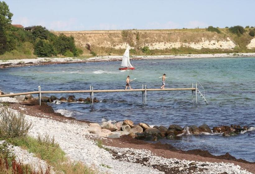 민박 Stevns Klint Strandpension