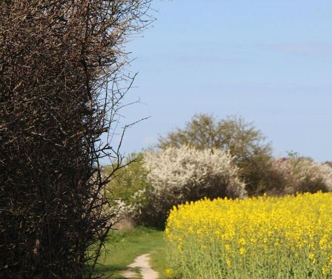 민박 Stevns Klint Strandpension
