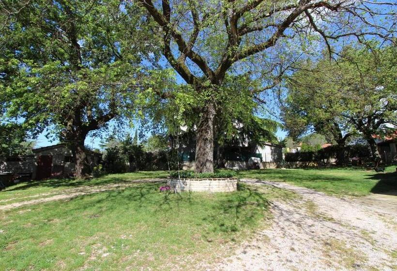 פנסיון Guest House Milotic