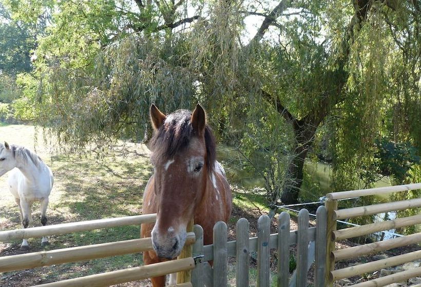 פנסיון Le Relais De Chavagné