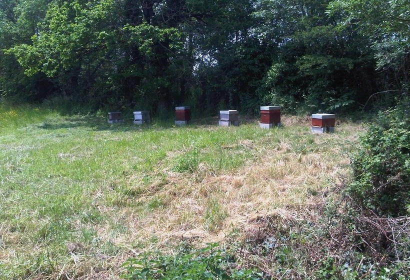 פנסיון Le Relais De Chavagné