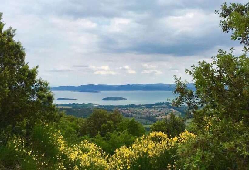 Отель Coco Tent