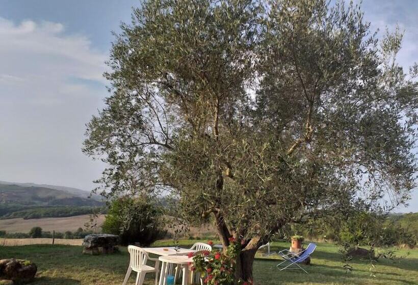 בית מלון כפרי Agriturismo Capannacce