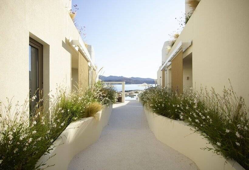 호텔 White Pebble Suites