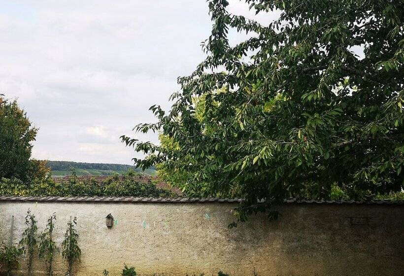 Пансион Le Temps D Une Pause à Boursault