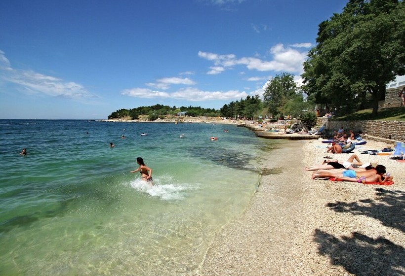 Beautiful And Modern Villa With Private Pool In Village Kastelir In Istria