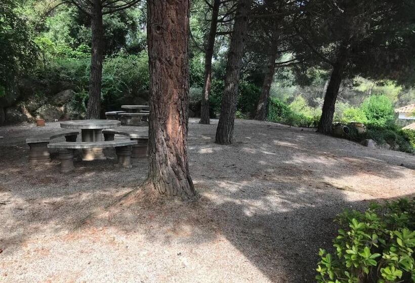 Bed and Breakfast Suite Matadepera