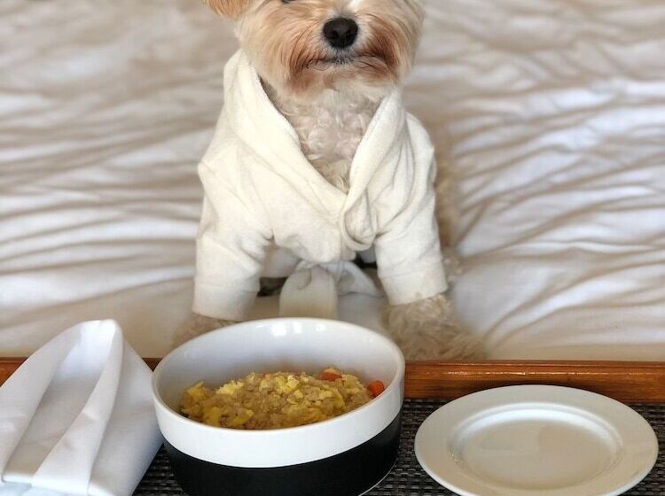 ホテル Fairmont Miramar Bungalows