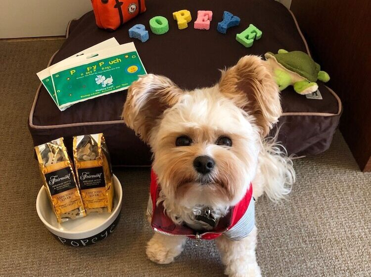 ホテル Fairmont Miramar Bungalows