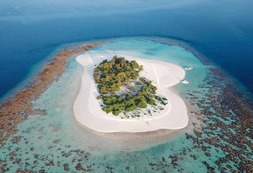 هتل Ostrov Palm Villa