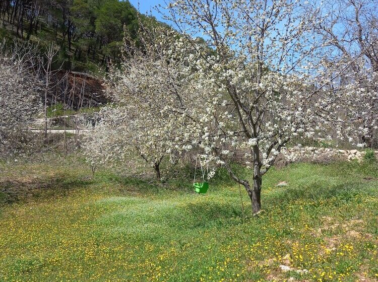 Immaculate 2 Bed Cottage Near Krka Waterfalls