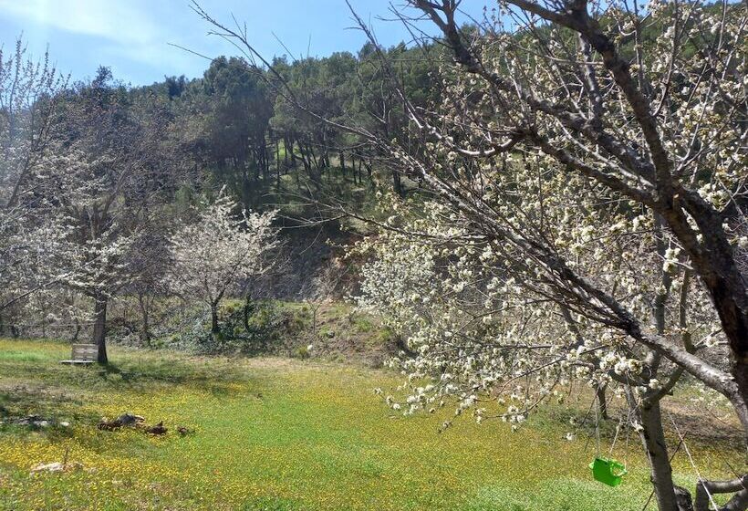 Immaculate 2 Bed Cottage Near Krka Waterfalls