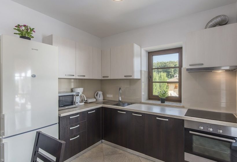 Modern Villa With Private Pool And Beautiful Garden 25 Km From Rovinj