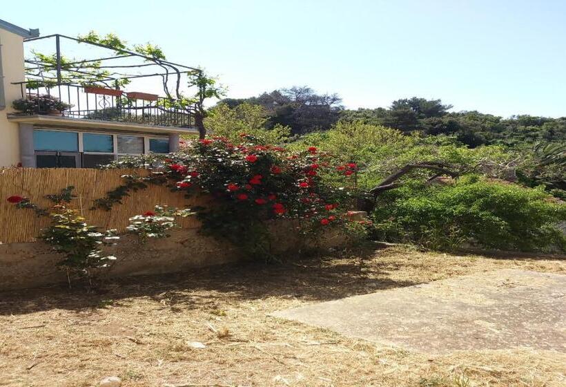 펜션 Rooms Brezak Lastovo