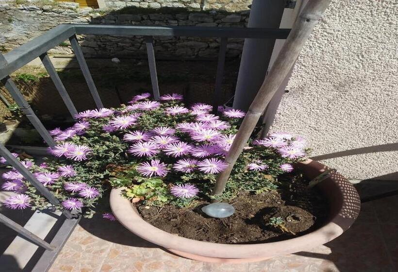 膳宿费 Rooms Brezak Lastovo