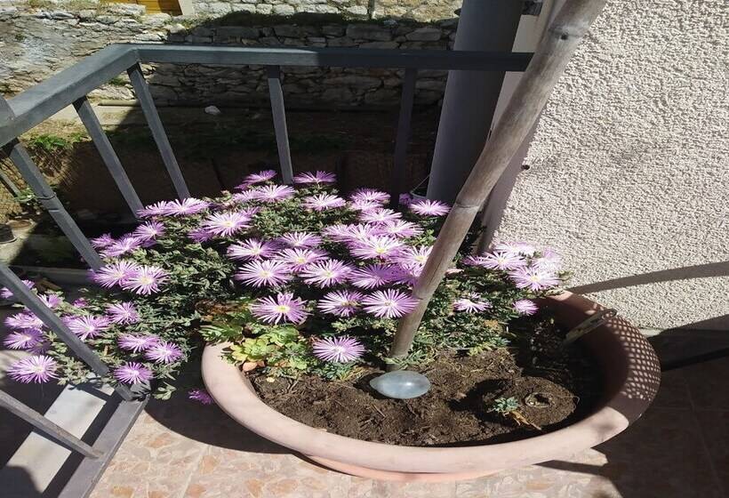 펜션 Rooms Brezak Lastovo