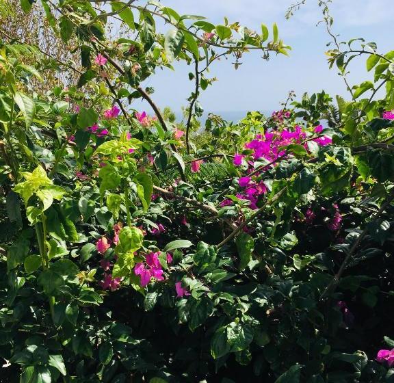 Apartamentos Y Habitaciones Villa Marina