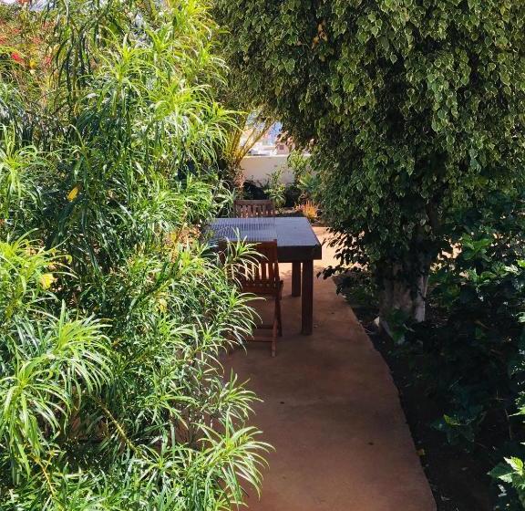 Apartamentos Y Habitaciones Villa Marina