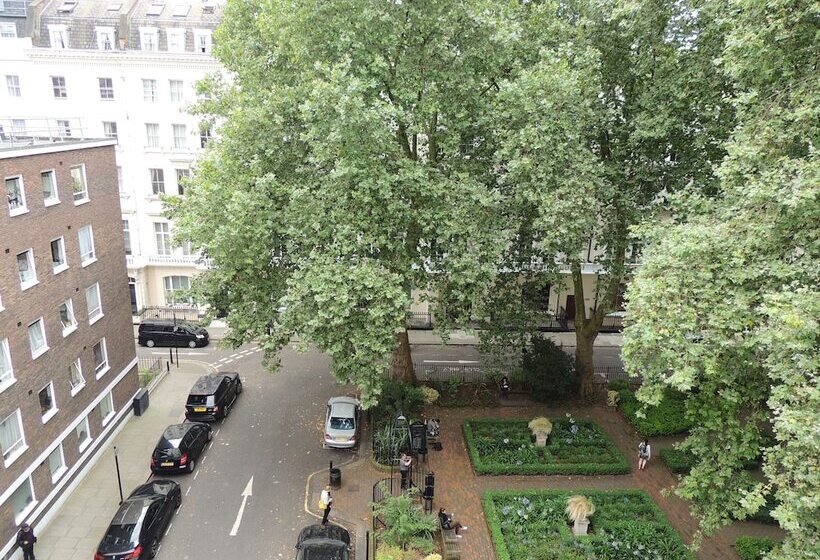 Dolphin Inn   The Lodge