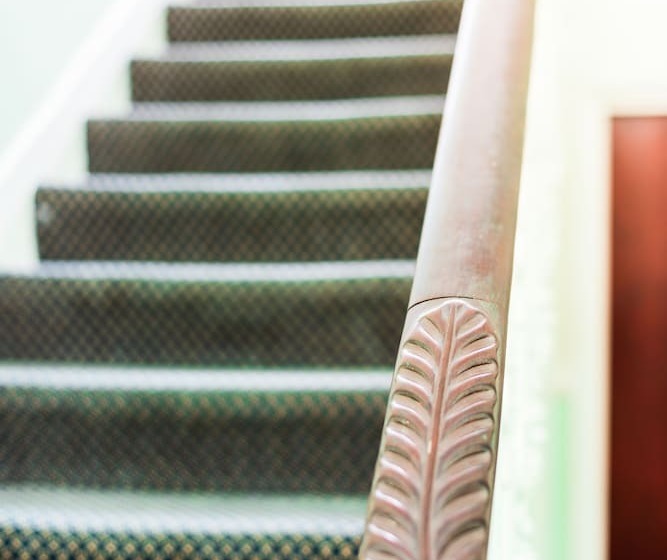 Dolphin Inn   The Lodge