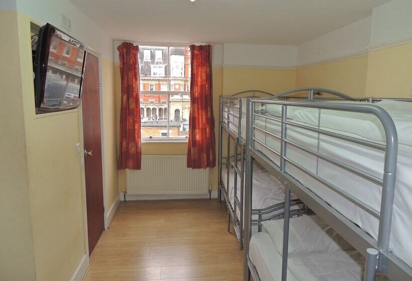 Dolphin Inn   The Lodge