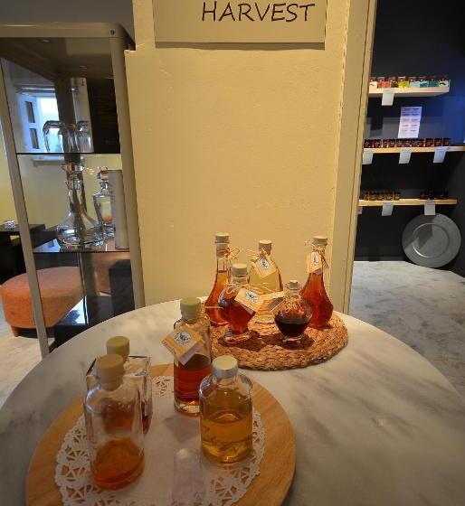 Agrilia Hotel Adults Only