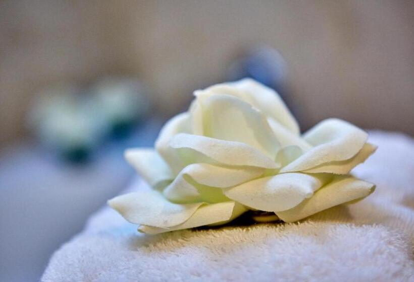 هتل Aschenbrenner