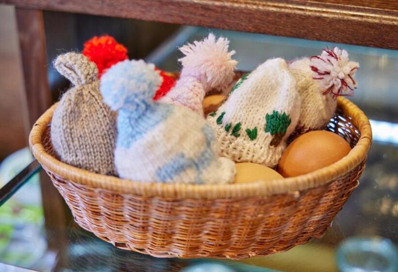 هتل Aschenbrenner