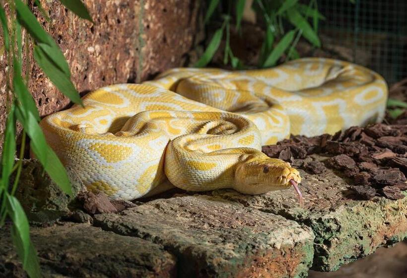 Wellness Hotel Babylon