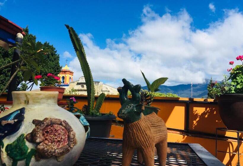 فندق Cazomalli Oaxaca