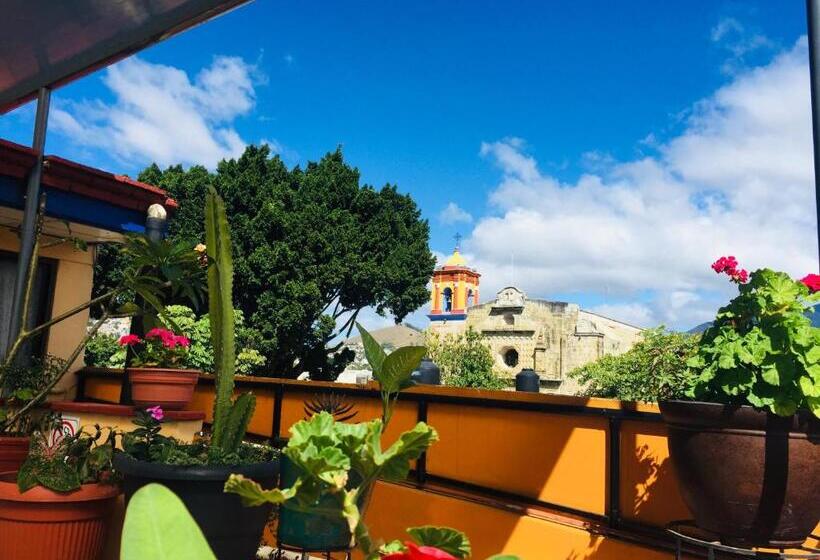 فندق Cazomalli Oaxaca