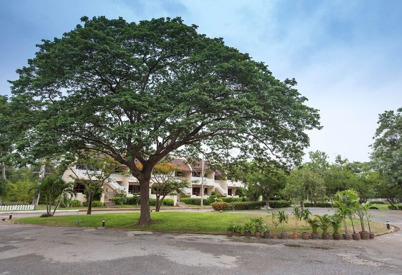 호텔 Eurasia Chaam Lagoon