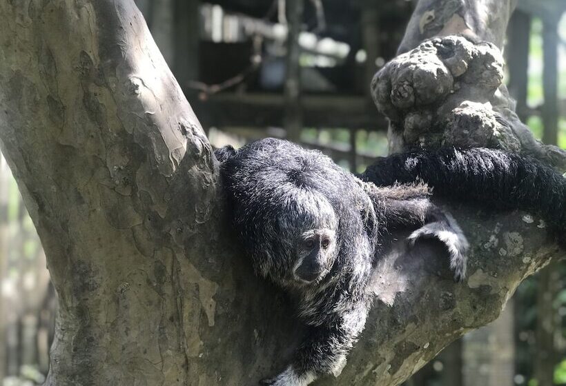 هتل Heliconia Amazon River Lodge
