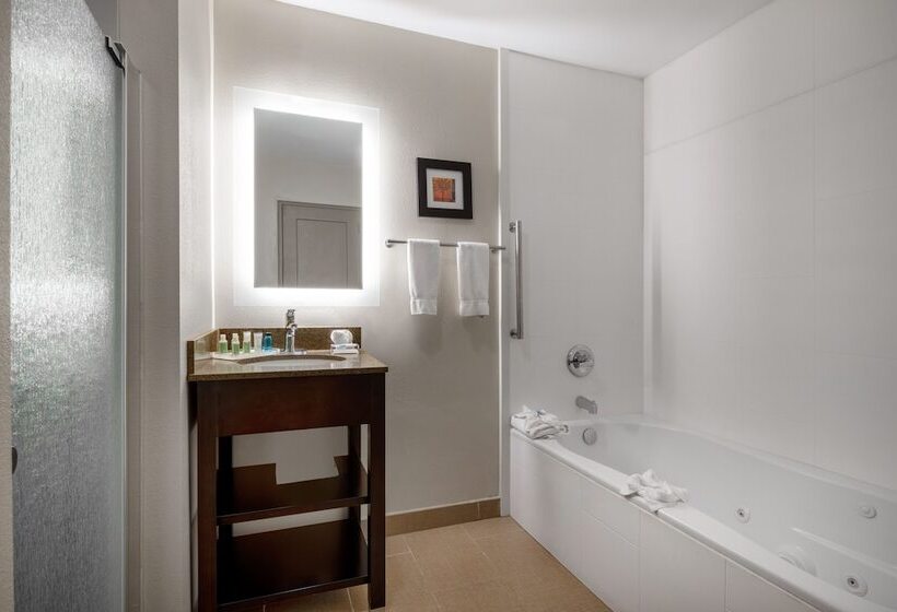 酒店 Holiday Inn Poughkeepsie, An Ihg