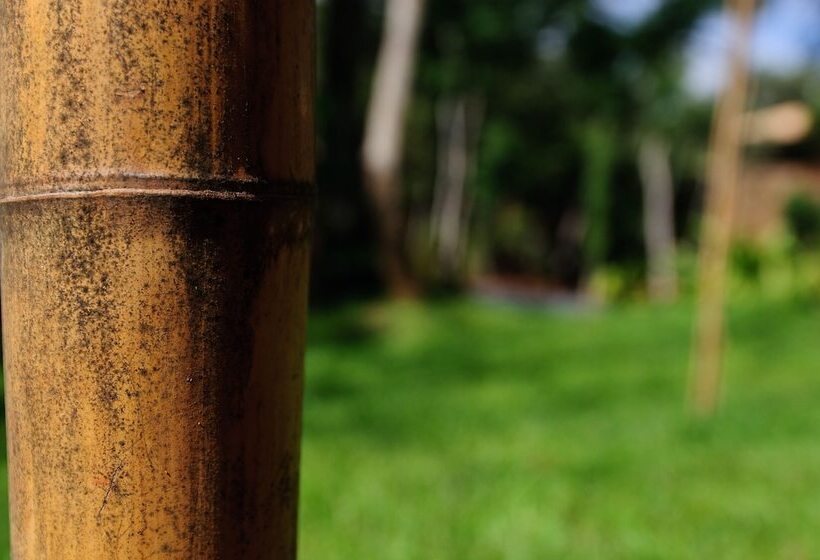 Отель Loi Suites Iguazu