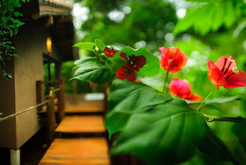 هتل Loi Suites Iguazu