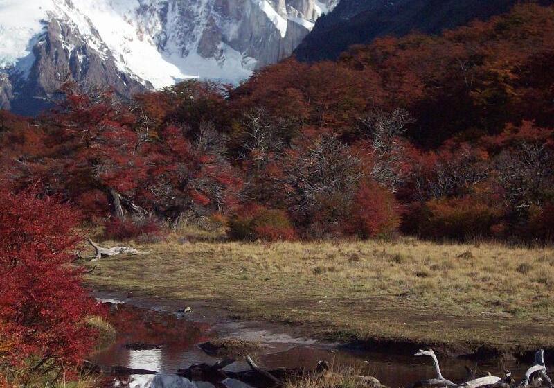 酒店 Posada Y Cabañas El Barranco