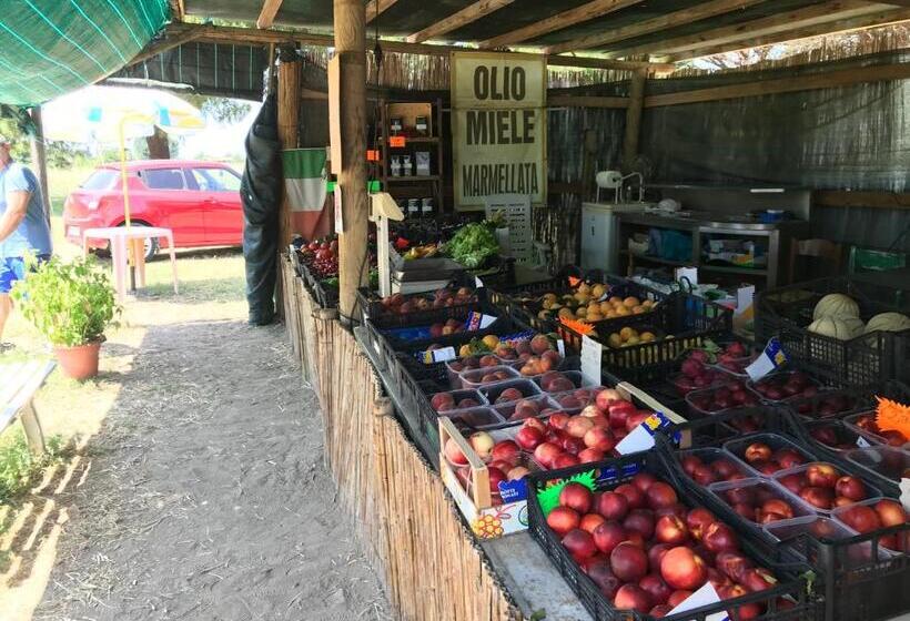 فندق Residence Il Tombolo