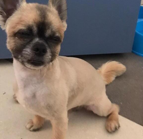 فندق Residence Il Tombolo