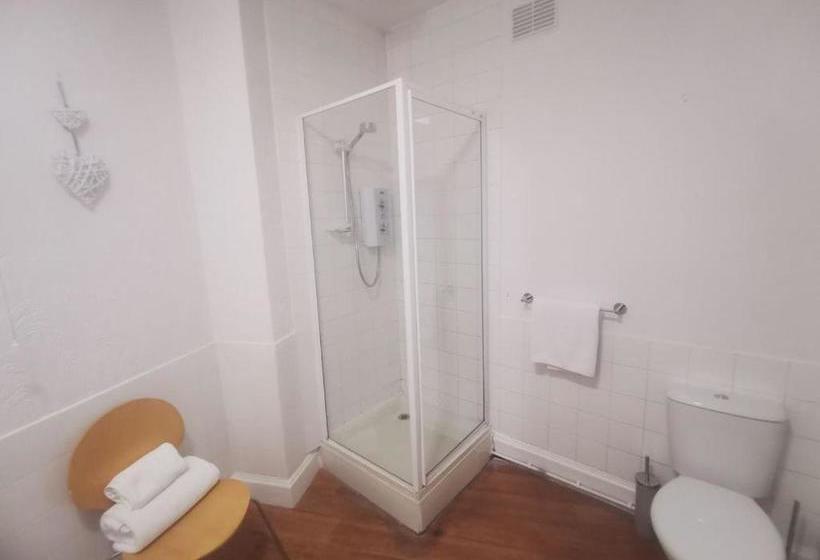 هتل The Saddle Inn